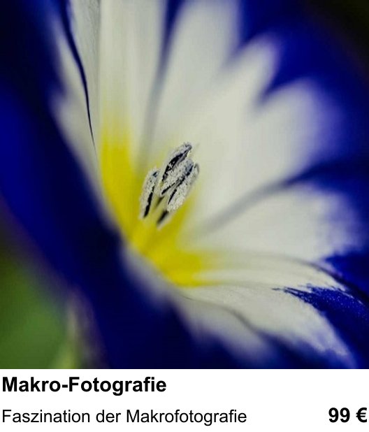 Praxis-Fotoworkshop Nürnberg: Makro-Fotografie – Faszination der Makrofotografie