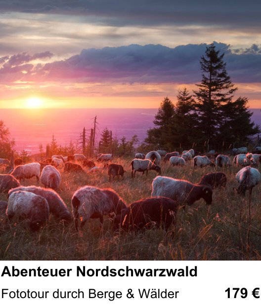 Landschaftlicher Fotoworkshop zu Abenteuer Nordschwarzwald: Fototour durch Berge & Wälder
