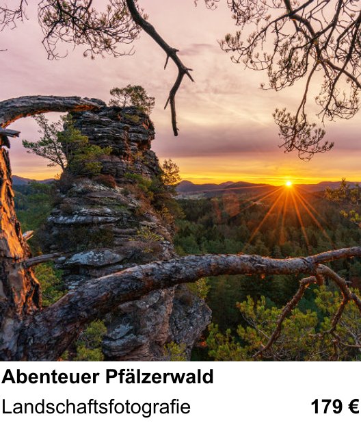 Landschaftlicher Fotoworkshop zu Abenteuer Pfälzerwald: Landschaftsfotografie