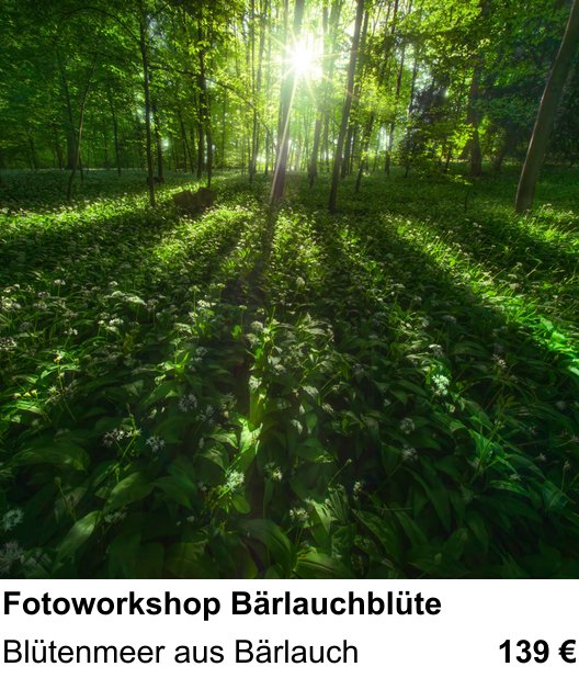 Landschaftlicher Fotoworkshop zu Fotoworkshop Bärlauchblüte: Blütenmeer aus Bärlauch