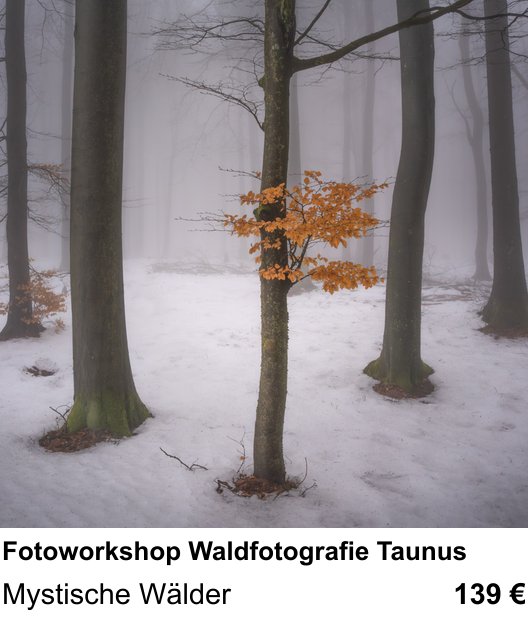 Landschaftlicher Fotoworkshop zu Fotoworkshop Waldfotografie Taunus: Mystische Wälder