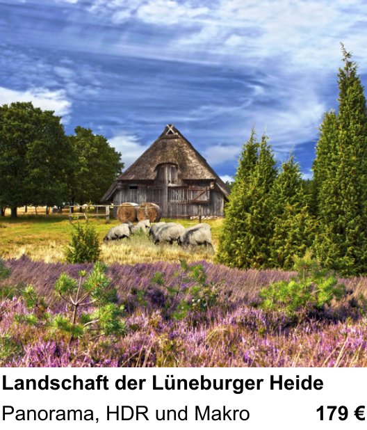 Landschaftlicher Fotoworkshop zu Landschaft der Lüneburger Heide: Panorama, HDR und Makro