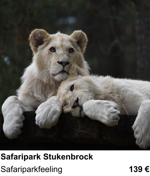Landschaftlicher Fotoworkshop zu Safaripark Stukenbrock: Safariparkfeeling