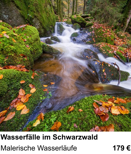 Landschaftlicher Fotoworkshop zu Wasserfälle im Schwarzwald: Malerische Wasserläufe