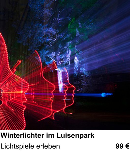 Landschaftlicher Fotoworkshop zu Winterlichter im Luisenpark: Lichtspiele erleben