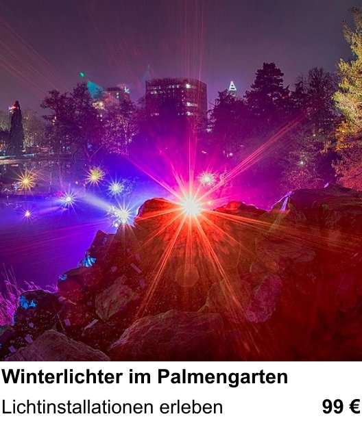 Landschaftlicher Fotoworkshop zu Winterlichter im Palmengarten: Lichtinstallationen erleben